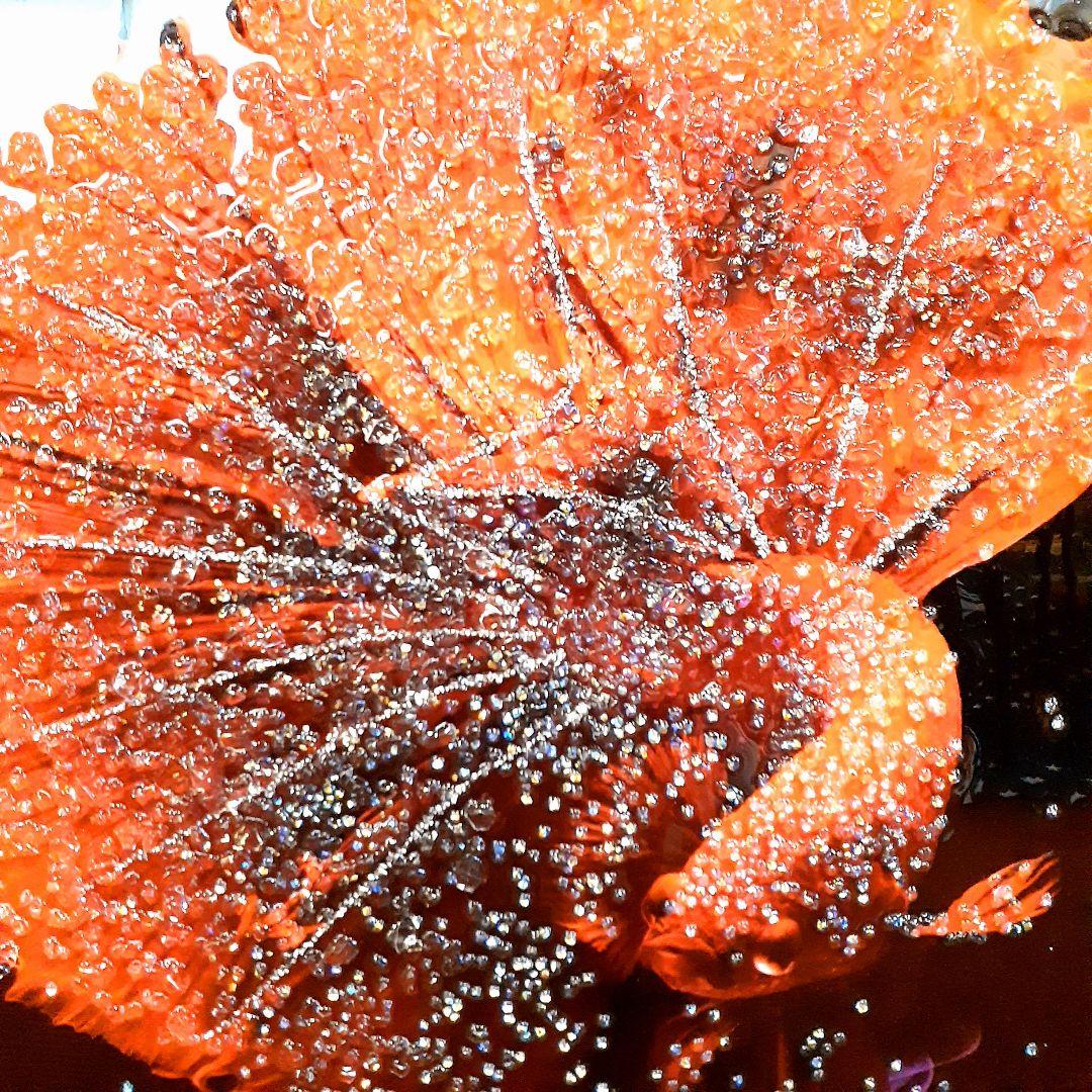 輸入雑貨　天然石　『赤い金魚』　水晶石　クリスタルアート　ゴールド額縁