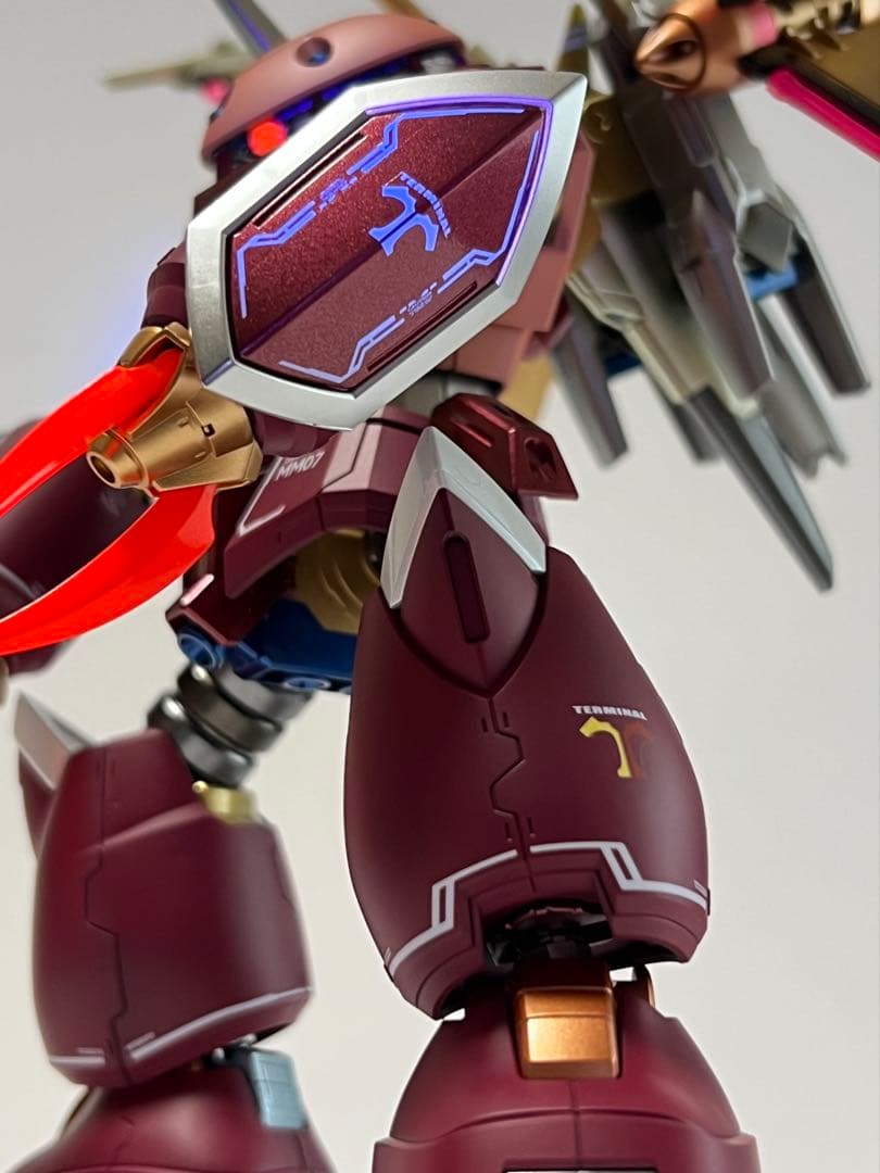 HGCE ズゴック SEED FREEDOM Ver. 塗装完成品 CAセット