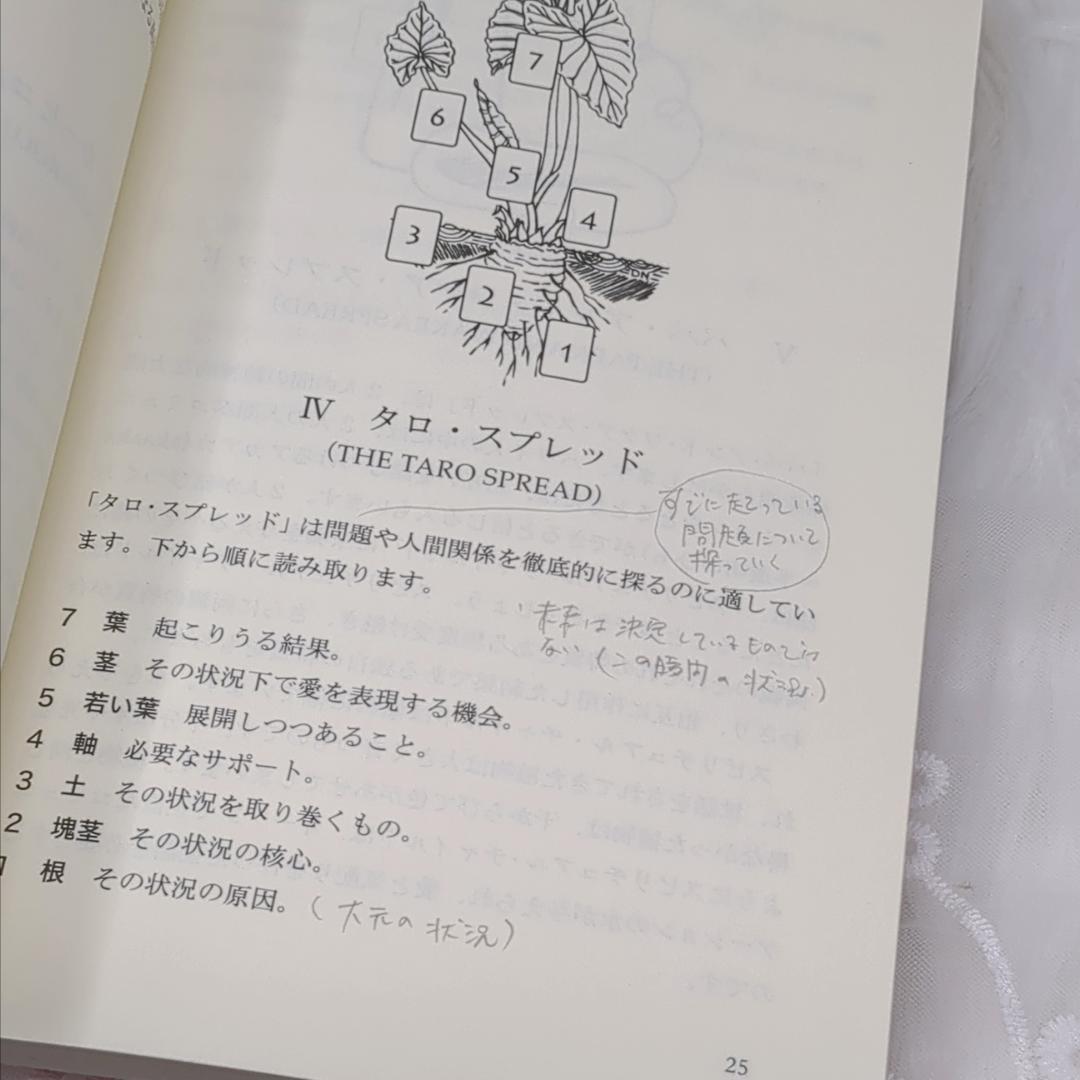 【訳あり特価】正規品✨マナカード ハワイの英知の力 日本語版