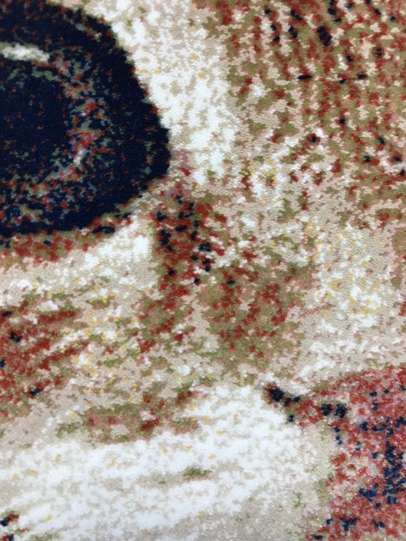 225万ノット！ピクチャーカーペット 額縁付き！50×70cm -191301