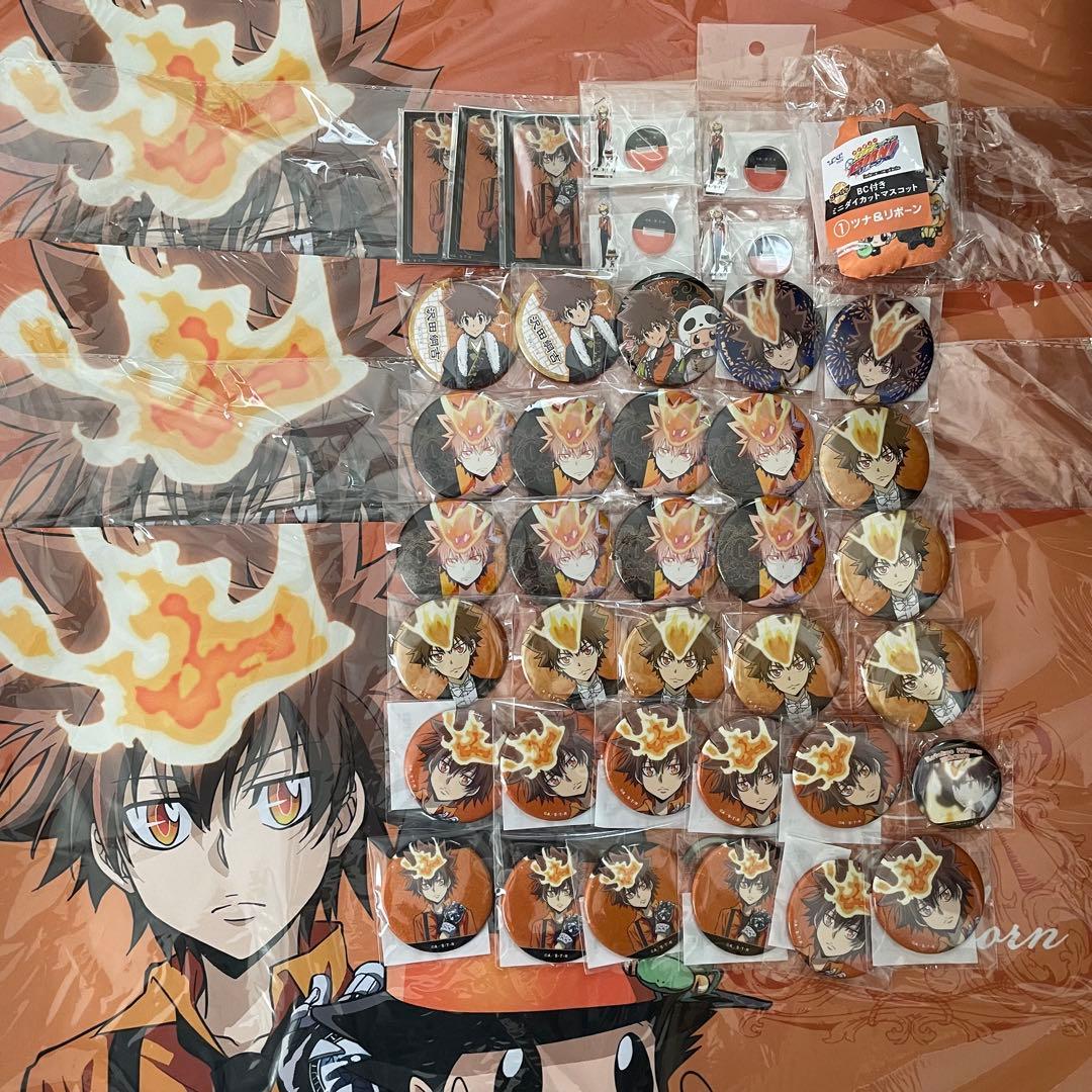 家庭教師ヒットマンREBORN! 沢田綱吉 缶バッジ まとめ売り