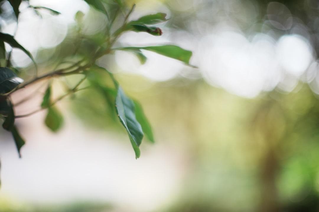 【極美品】Nikon Ai-s Nikkor 50mm F1.2 764