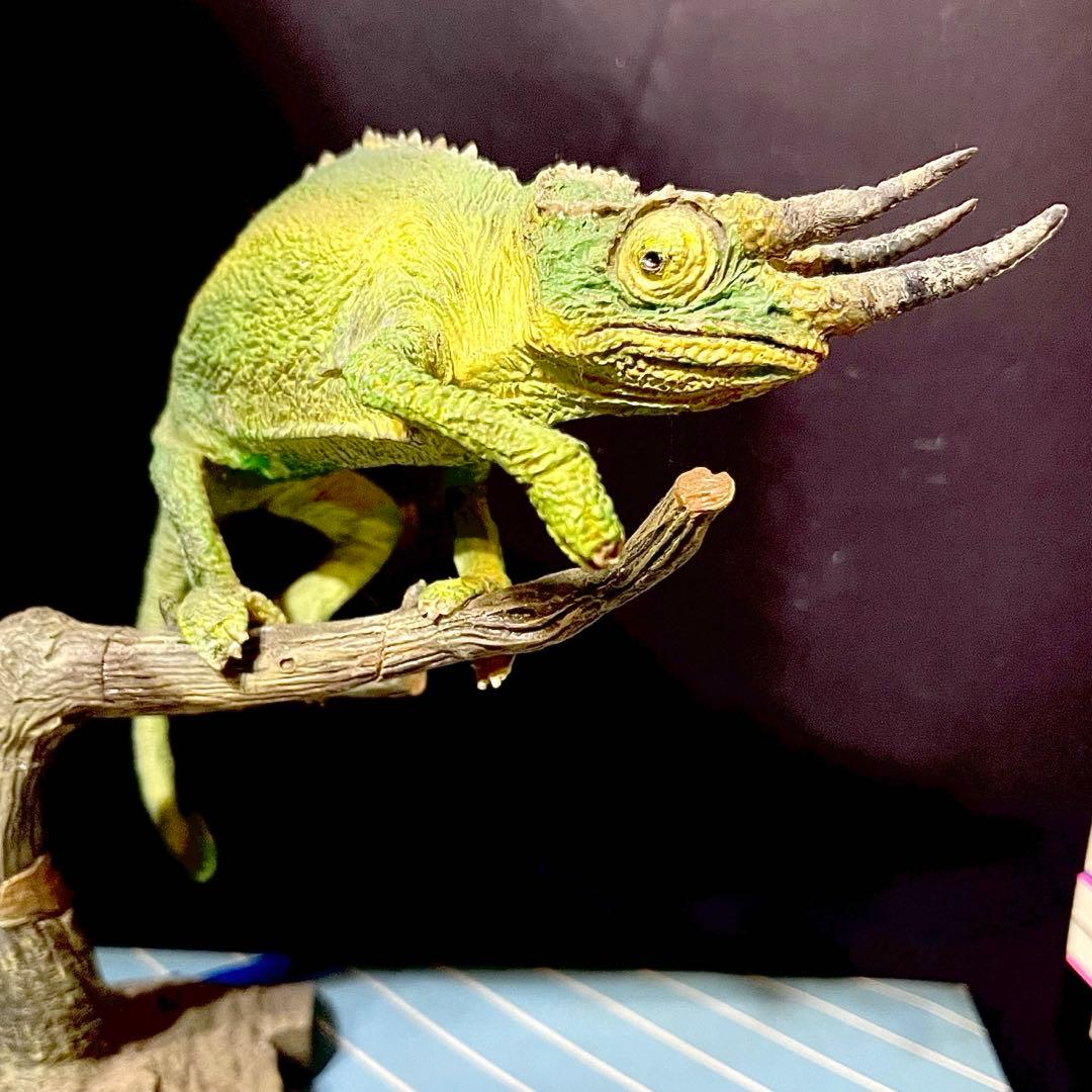 海洋堂　ジャクソンカメレオン　完成品