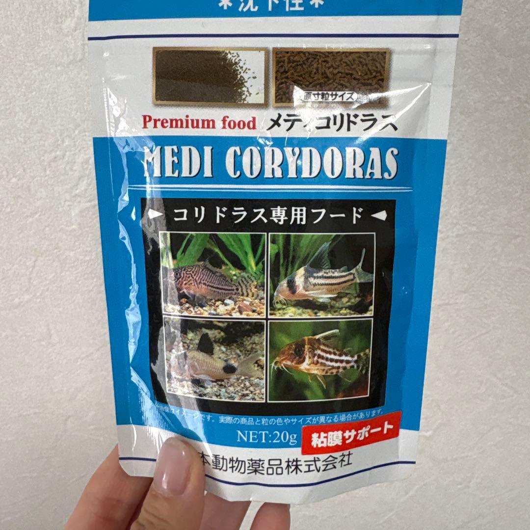 GEX　ペルコ　 グラスアクア　 オールインワン水槽　おまけ付き