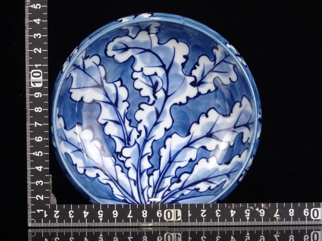 有田焼　館林源右衛門　染濃　根菜図　組皿　中皿　5客　向付　5客　計10客　共箱