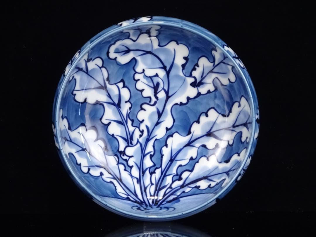 有田焼　館林源右衛門　染濃　根菜図　組皿　中皿　5客　向付　5客　計10客　共箱