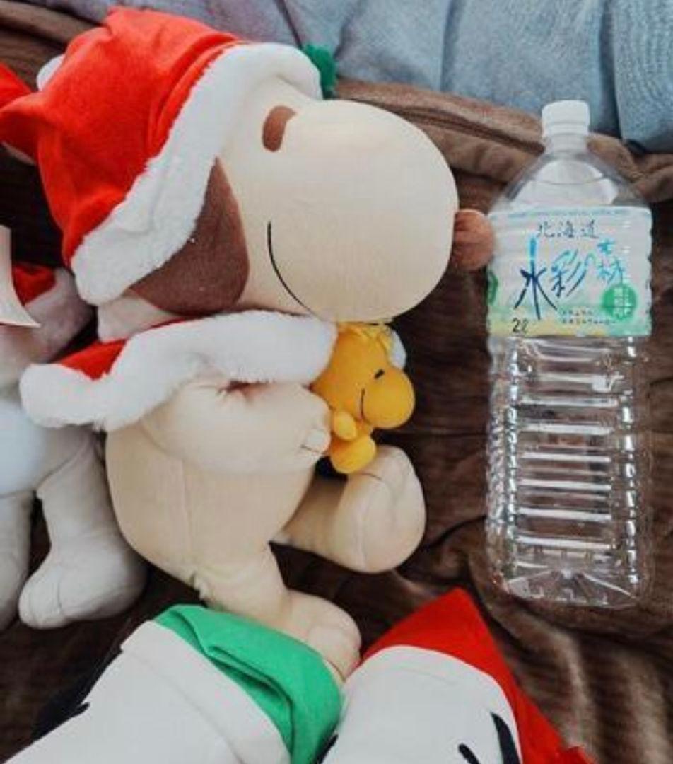 【未使用品】スヌーピーぬいぐるみ(クリスマスVer.)