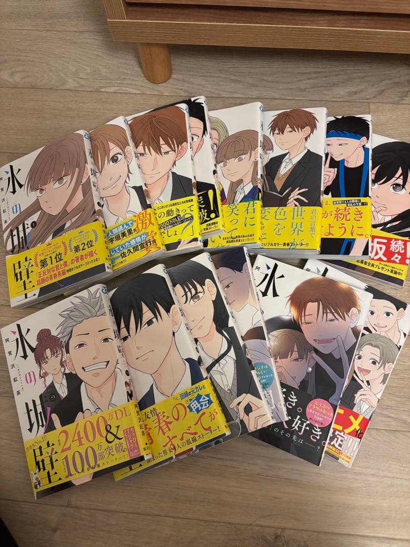 氷の城壁　全巻セット1〜14巻