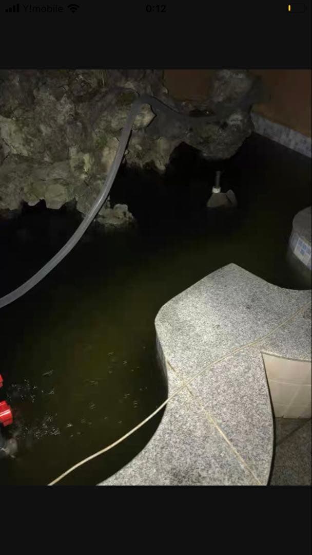 三段式濾過装置大型水槽用沈殿物理生物一体型濾過槽外部式 器水槽濾過試しろ材付き