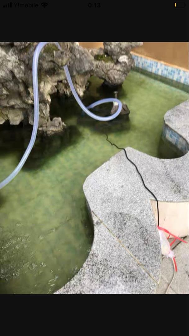 三段式濾過装置大型水槽用沈殿物理生物一体型濾過槽外部式 器水槽濾過試しろ材付き