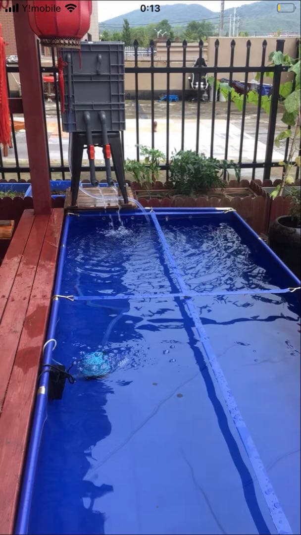 三段式濾過装置大型水槽用沈殿物理生物一体型濾過槽外部式 器水槽濾過試しろ材付き