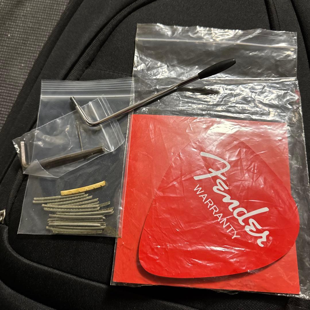 Fender Japan ストラトキャスター ブラックペイズリー 30本限定品