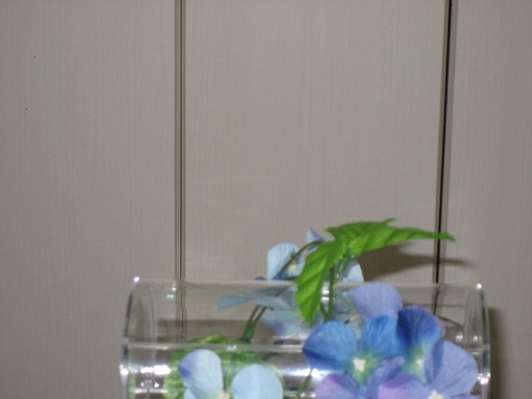 Canon カメラ　IXY 70 PC1193 充電器　コンデジ　動作品