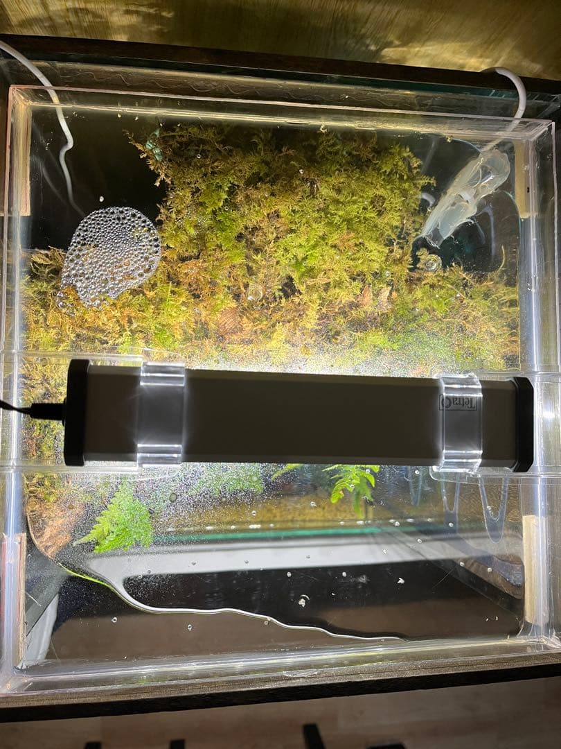 中型ガラス水槽 LEDライト付き