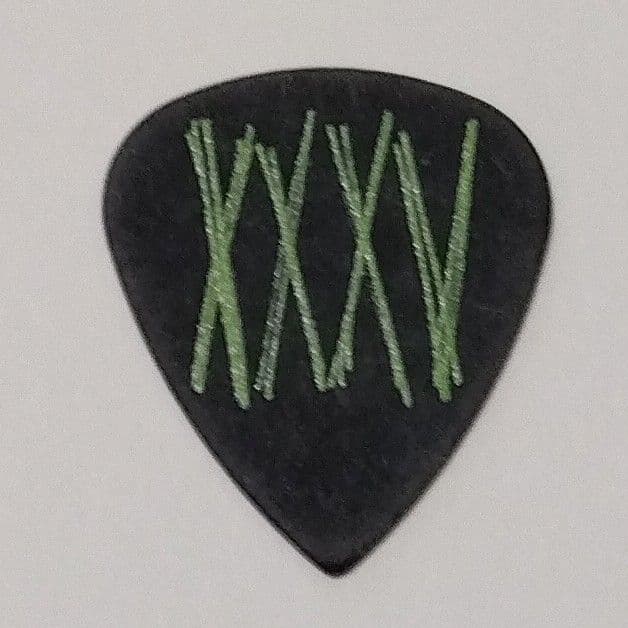 【チョコチップメロンパン】 ONE OK ROCK ギターピック