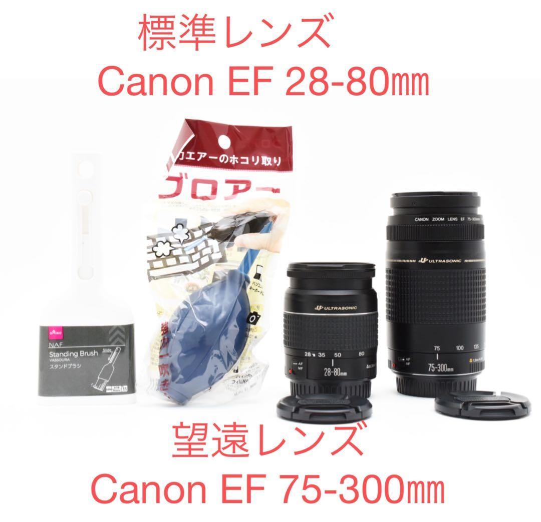 （2セット）Canon EF 28-80㎜/Canon EF 75-300㎜