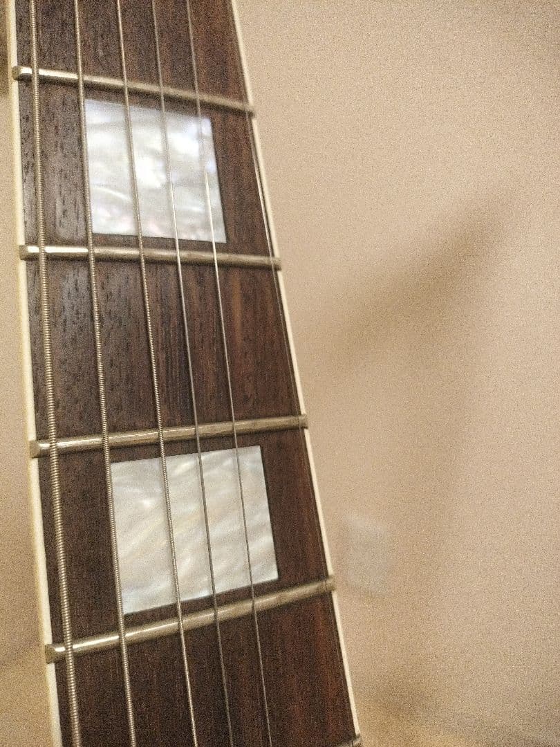 EDWARDS by Navigator N-LP-CTM ほぼジャンク