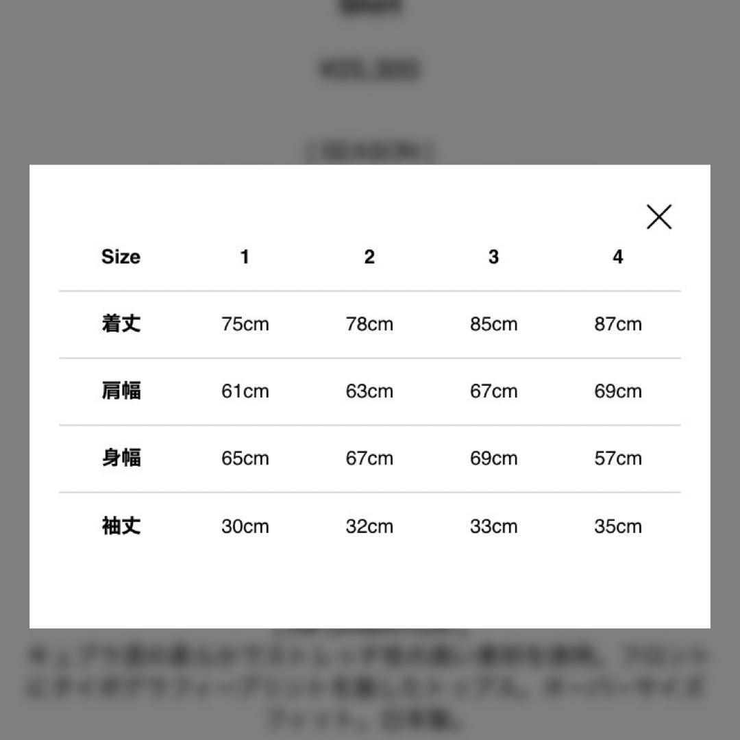 年末セール　JULIUS オーバーサイズカットソー ash purple