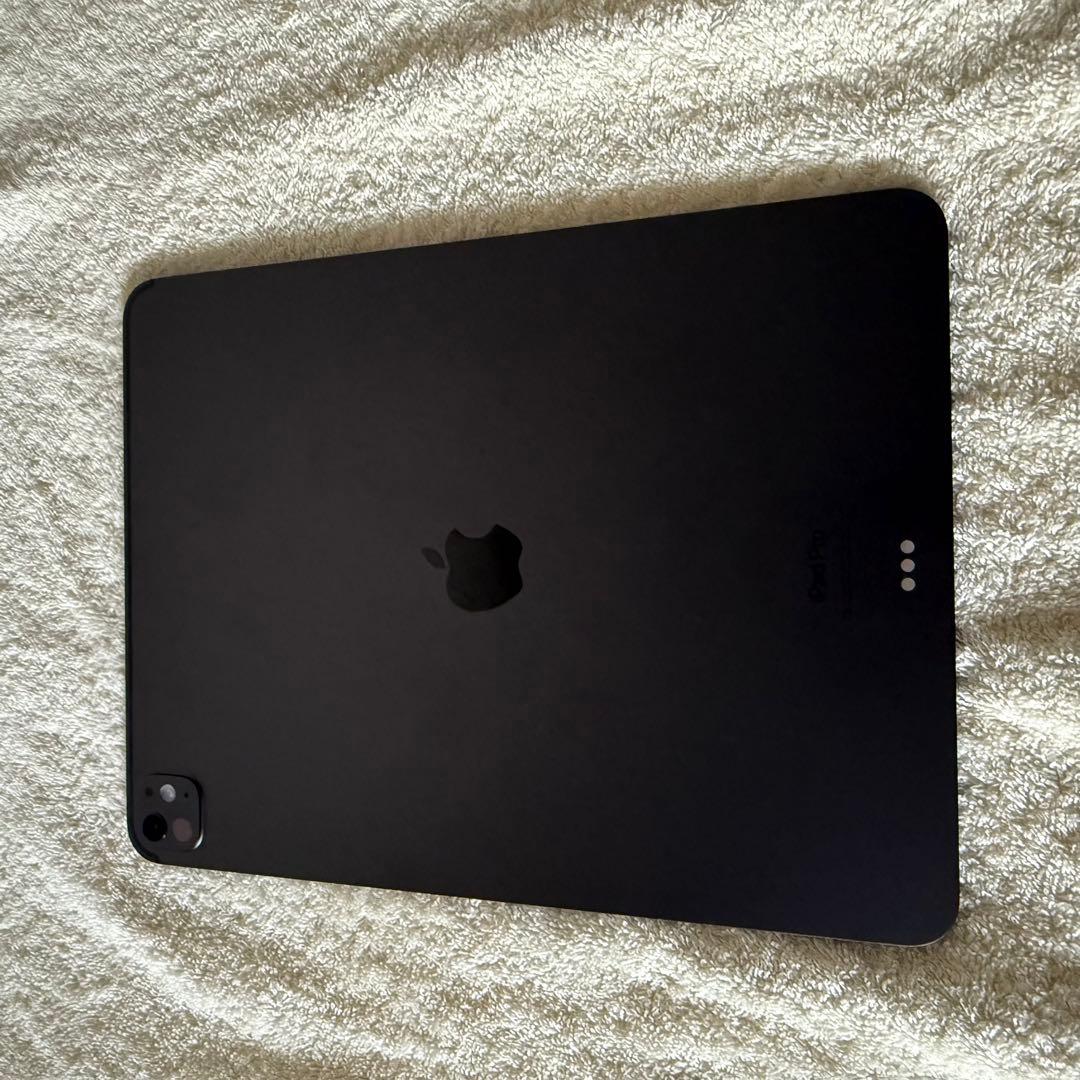 【bloonn様】iPad Pro M4 +Apple Pencil Pro