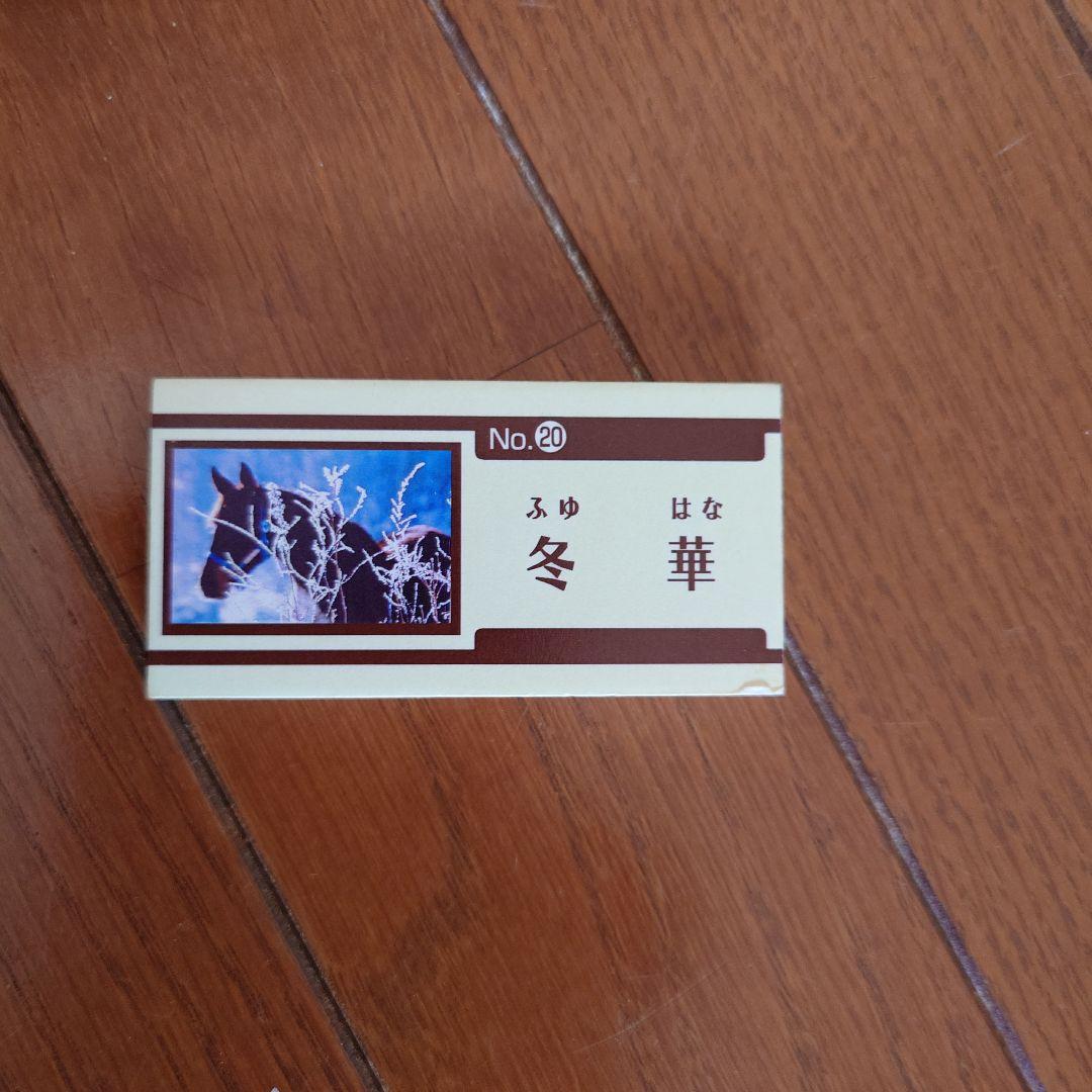 JRA　競馬　馬写真（額入り）冬花