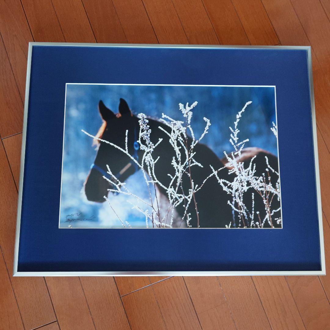 JRA　競馬　馬写真（額入り）冬花