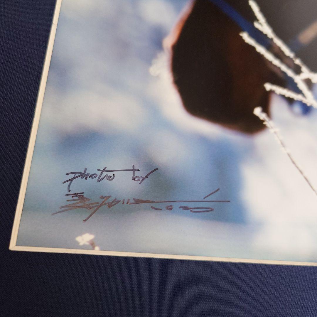 JRA　競馬　馬写真（額入り）冬花