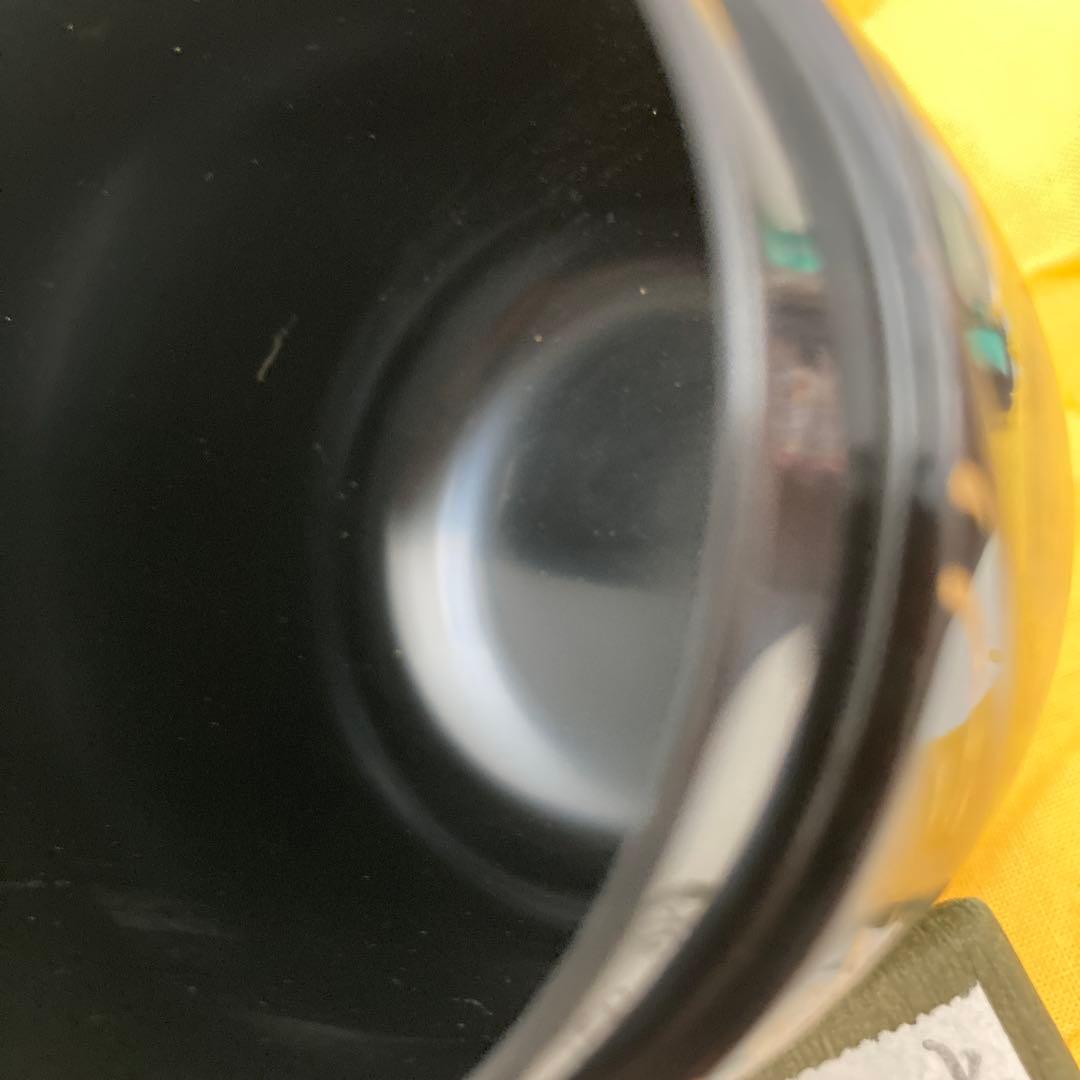 茶道具 光琳　水葵蒔絵棗