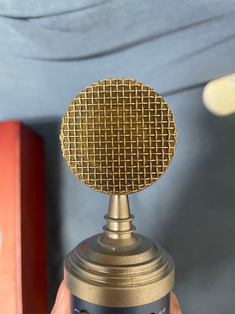 Blue MicrophonesのBluebird SLコンデンサーマイク