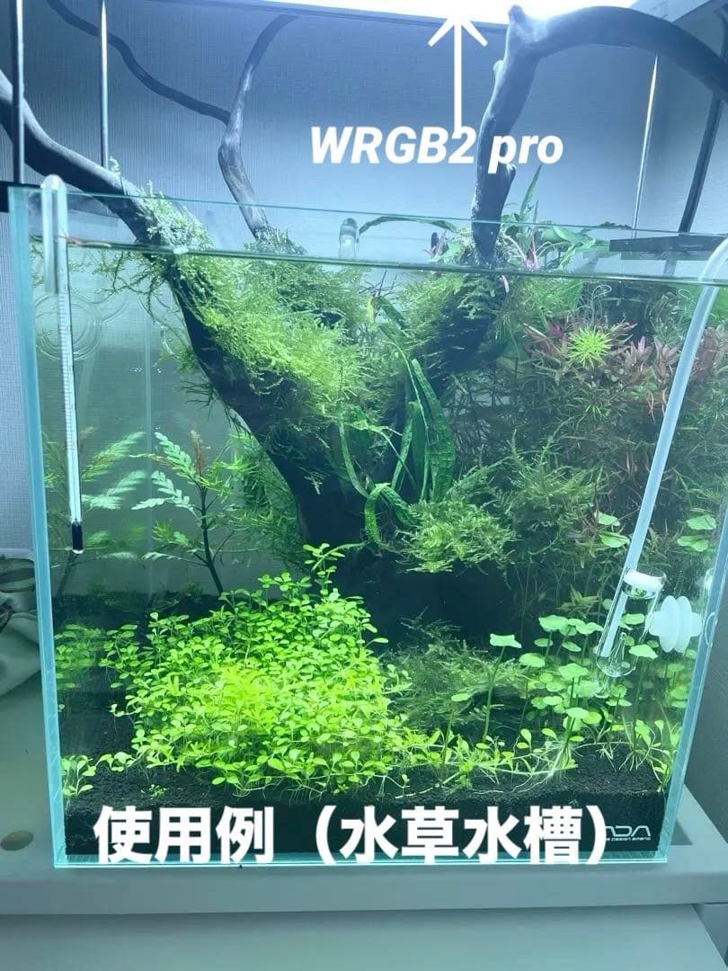 水草育成 Chihiros WRGB II pro 30