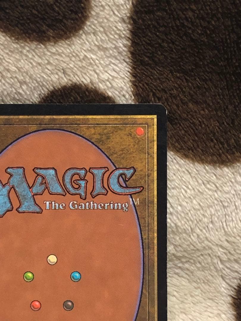 mtg 翻弄する魔道士　Meddling Mage foil 日本語