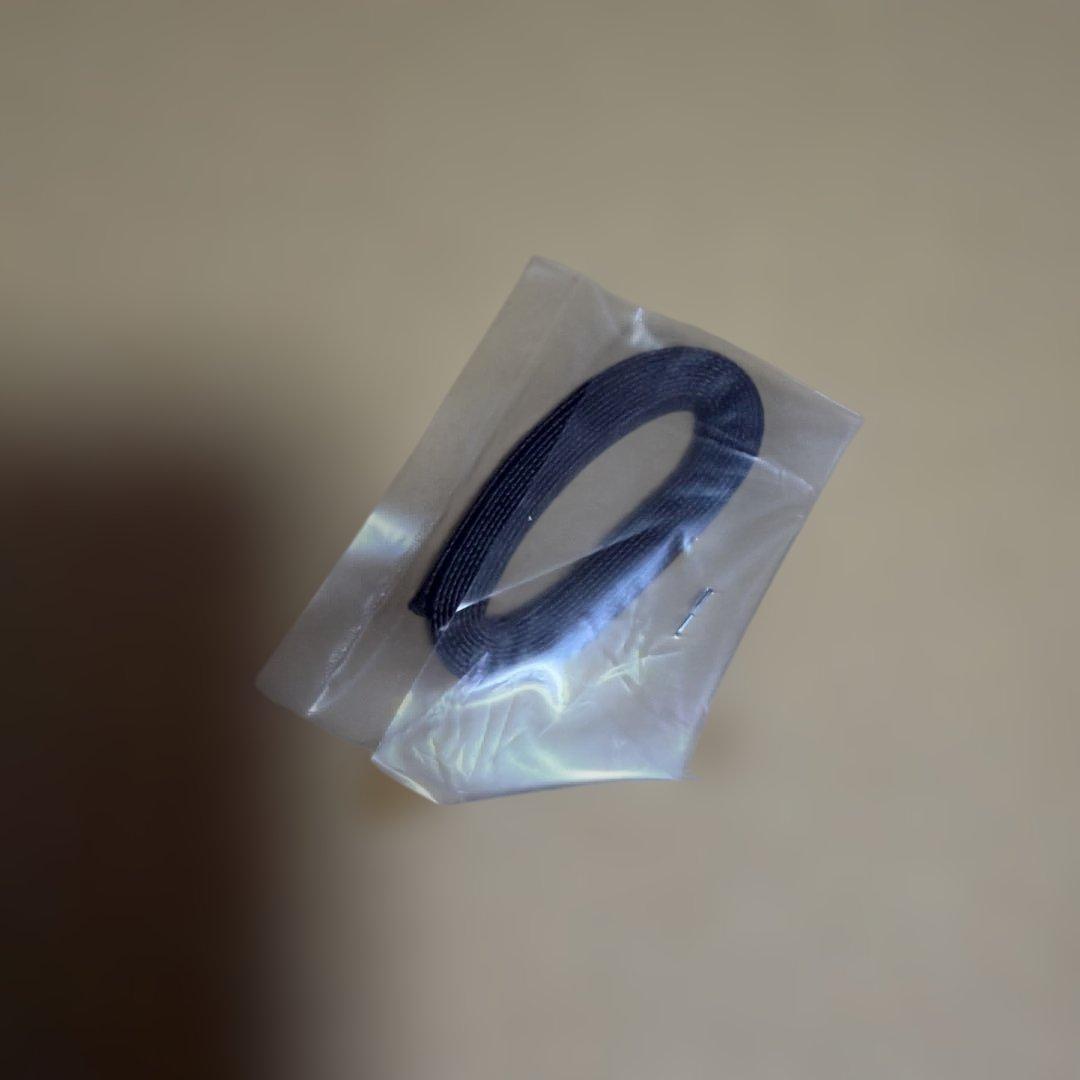 夢の雫、黄金の鳥籠　篠原千絵先生　直筆サイン入り　複製原画　小学館　40周年限定