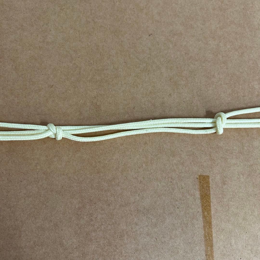 笹倉鉄平 絵画 リトグラフ ドリーミング 限定 アンティーク レア 直筆サイン