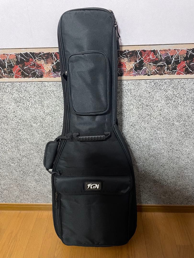 美品　ゴダン　Godin Session HT ストラト