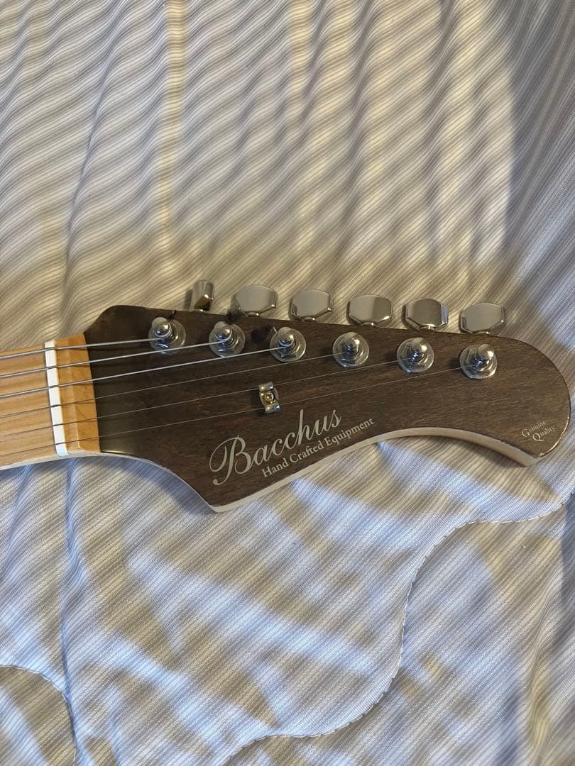 ギター Bacchus CraftSeries TACTICS PLD(CHG/OIL)