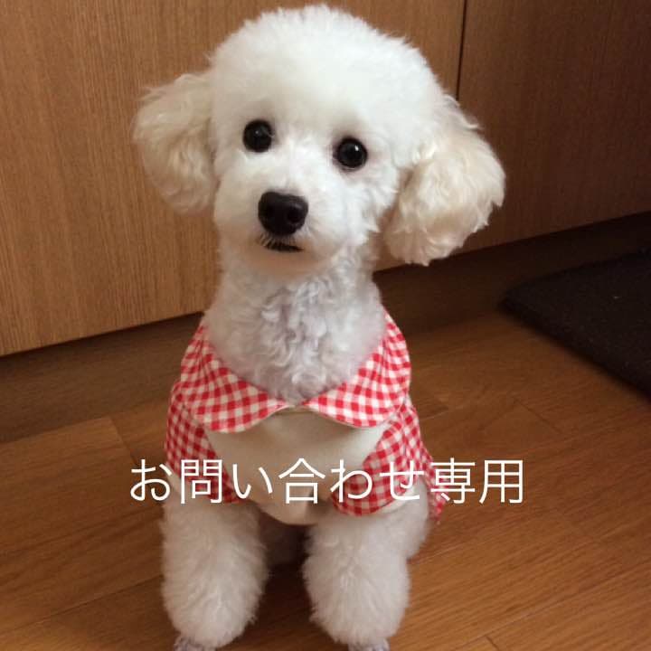 お問い合わせ 専用