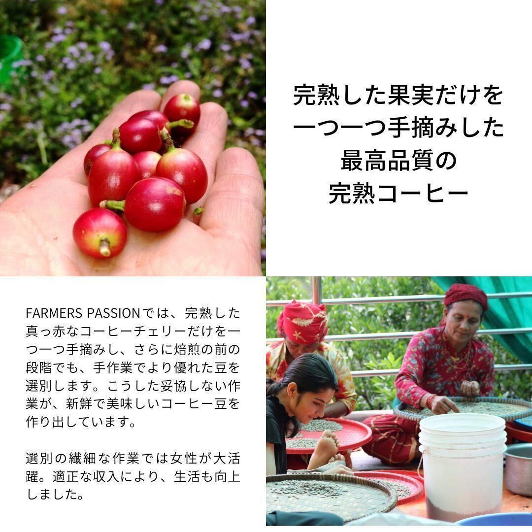オーガニックコーヒー ミディアム フェアトレード 1kg コーヒー豆 ネパール