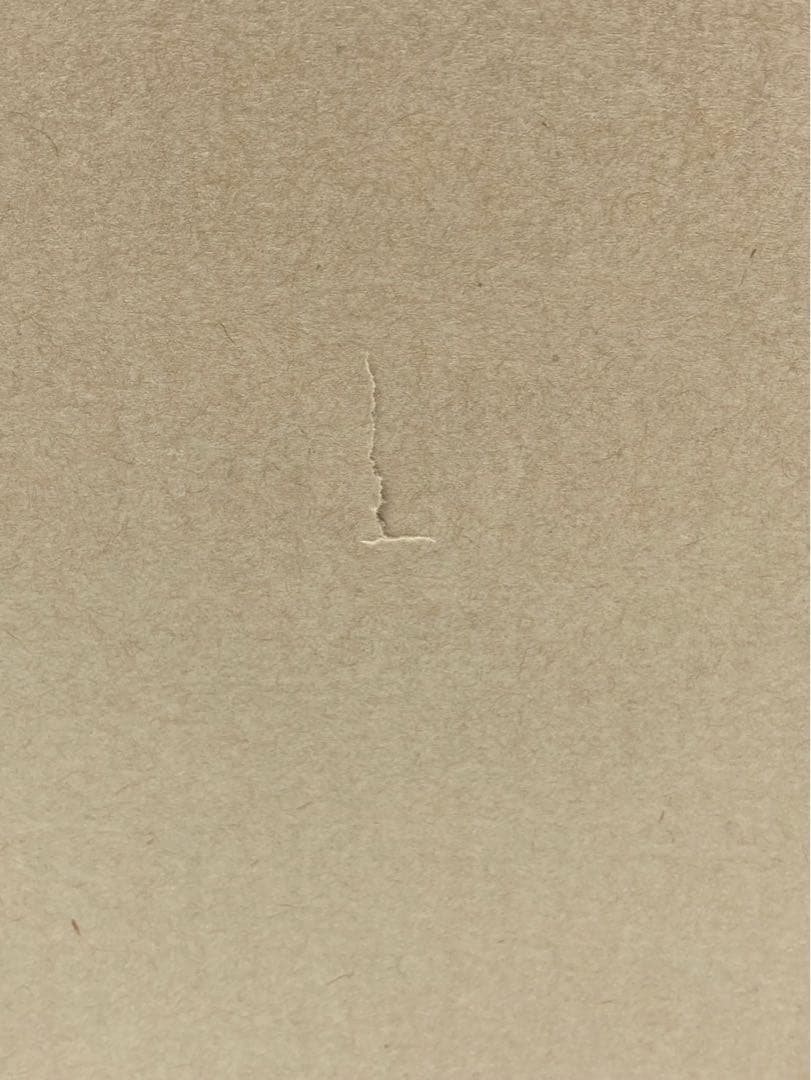 【輸送箱未開封】DXキングオージャー（王様級重塗装メッキver.）