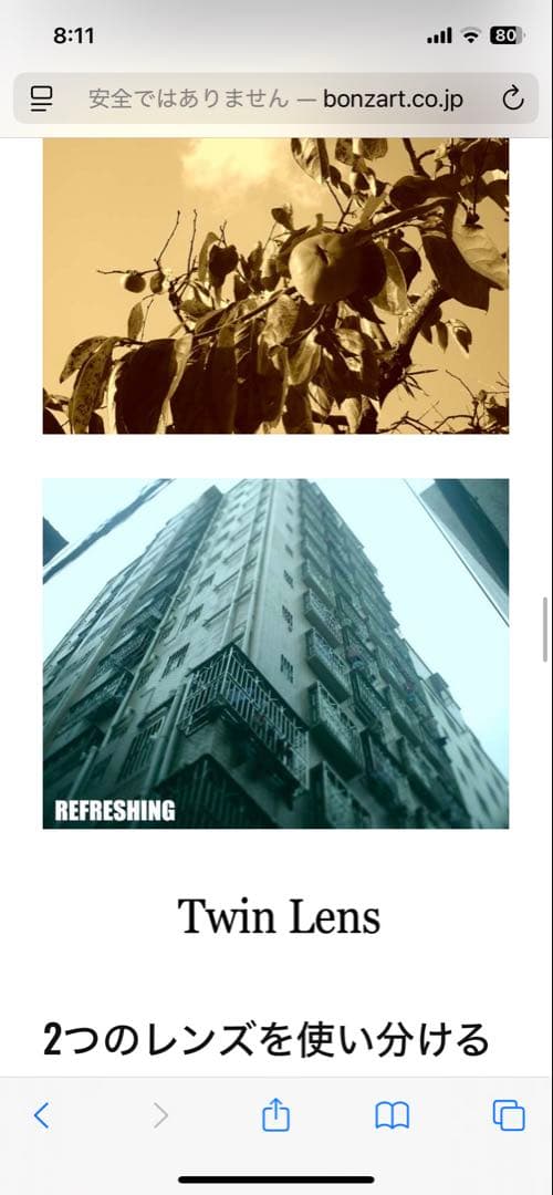 BONZART AMPEL ボンザート アンペル