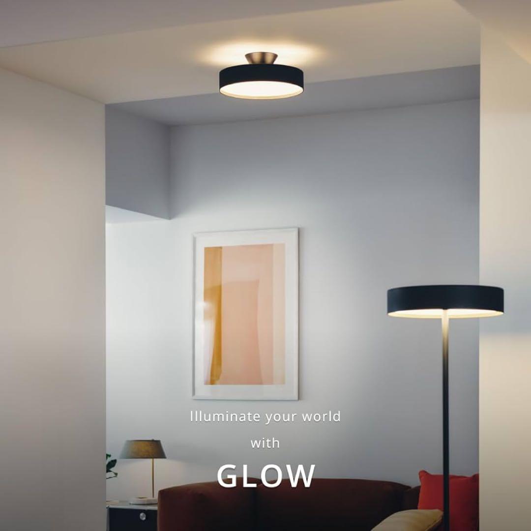 シーリングライト・天井照明 ART WORK STUDIO Glow 5000 -ceiling light