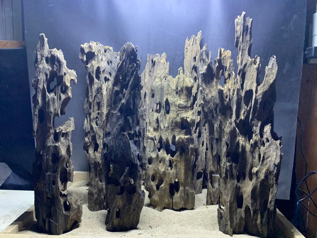 7[新品 特大のみ]マシンガンウッド9本★流木 水槽　レイアウト　アクアリウム