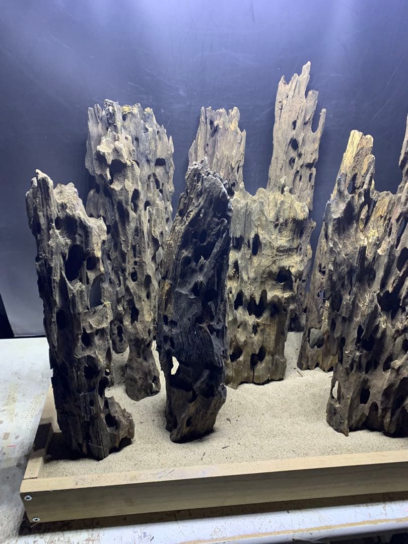 7[新品 特大のみ]マシンガンウッド9本★流木 水槽　レイアウト　アクアリウム