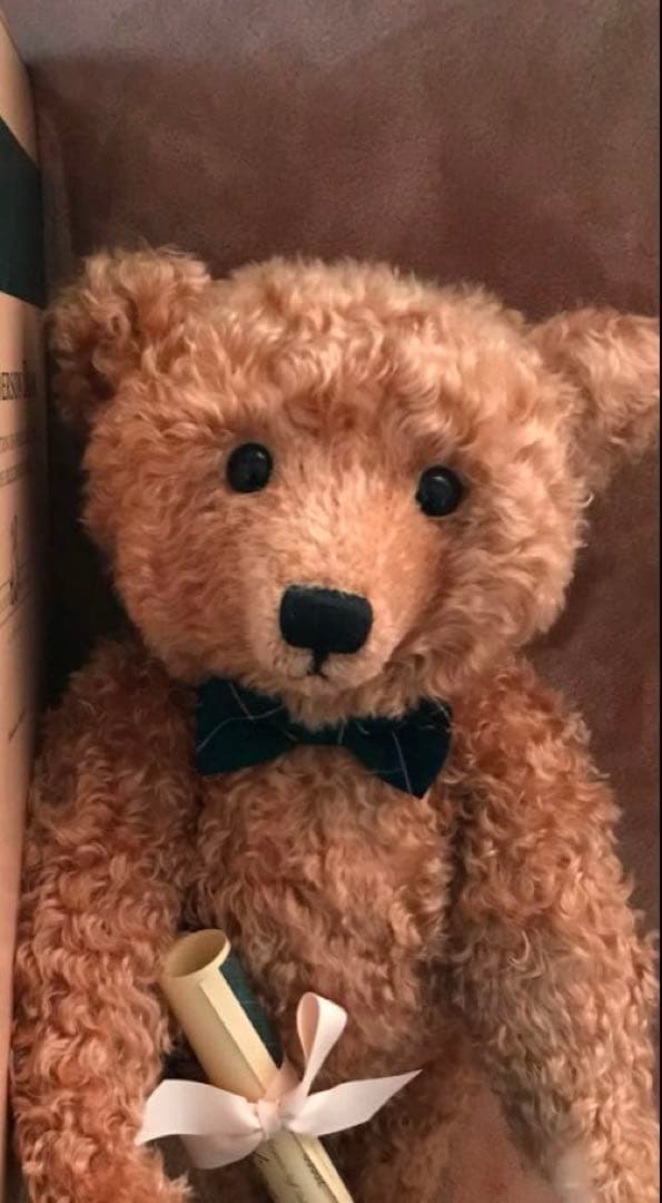 レア番ペア☆ シュタイフ ウィットニー限定 ヘンダーソン と ベビーアルフォンゾ