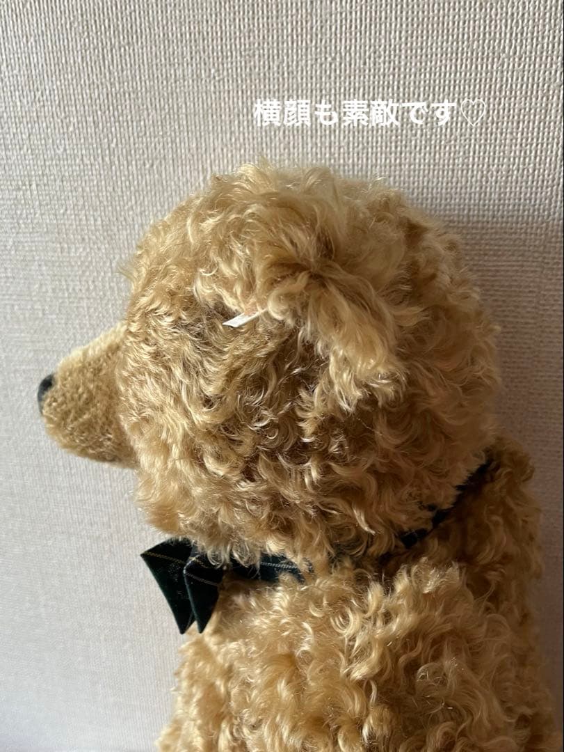 レア番ペア☆ シュタイフ ウィットニー限定 ヘンダーソン と ベビーアルフォンゾ