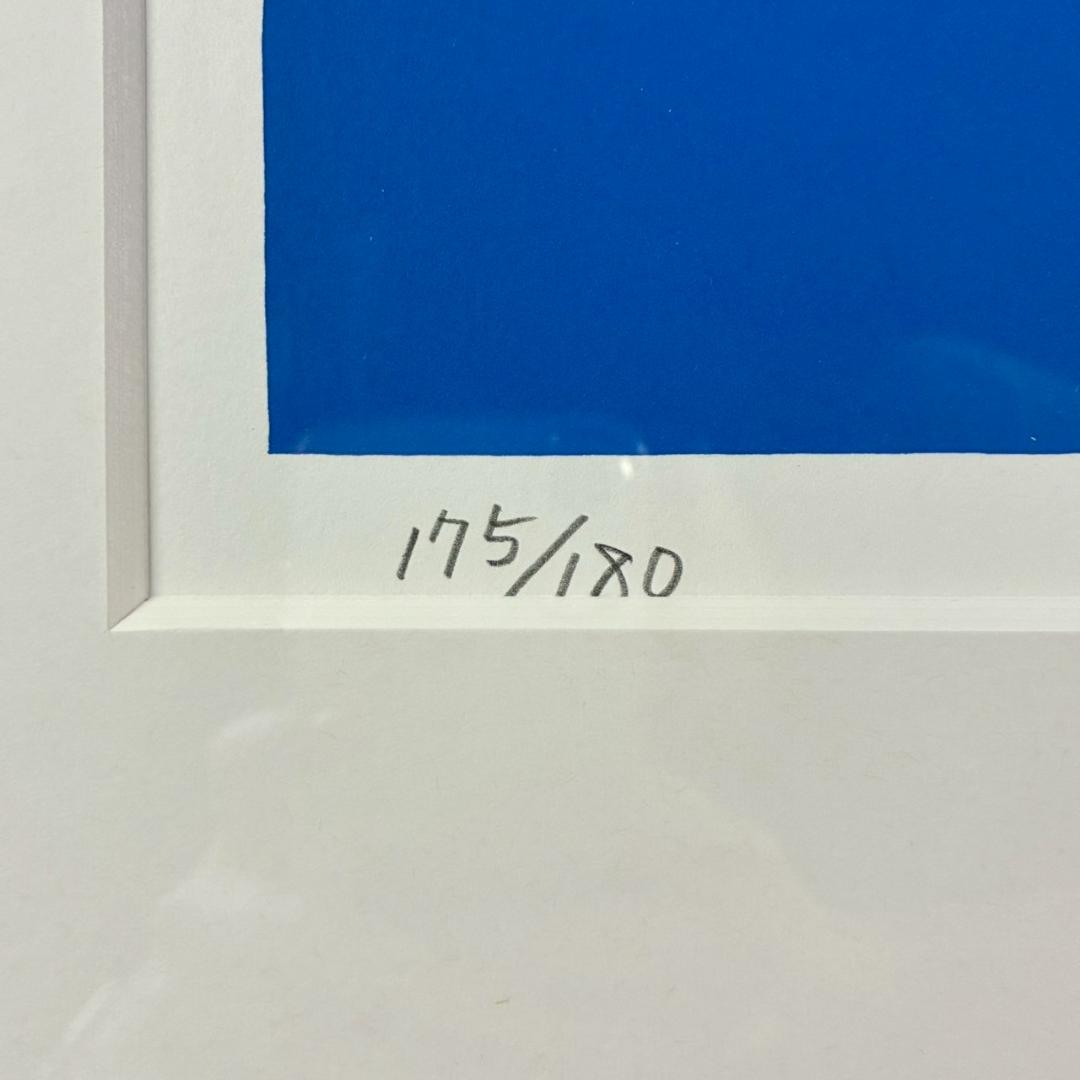 美品 平松礼二「池に舞う蝶」リトグラフ 大作 直筆サイン・印有 古径額 モネ