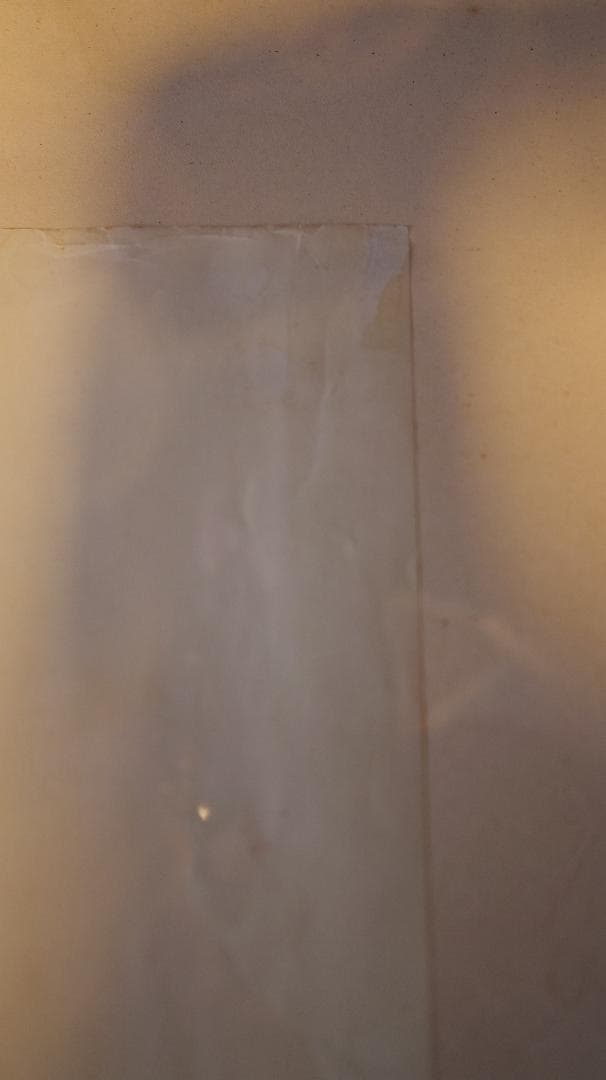 Stan Brakhage - Dog Star Man　公開時　限定ポスター