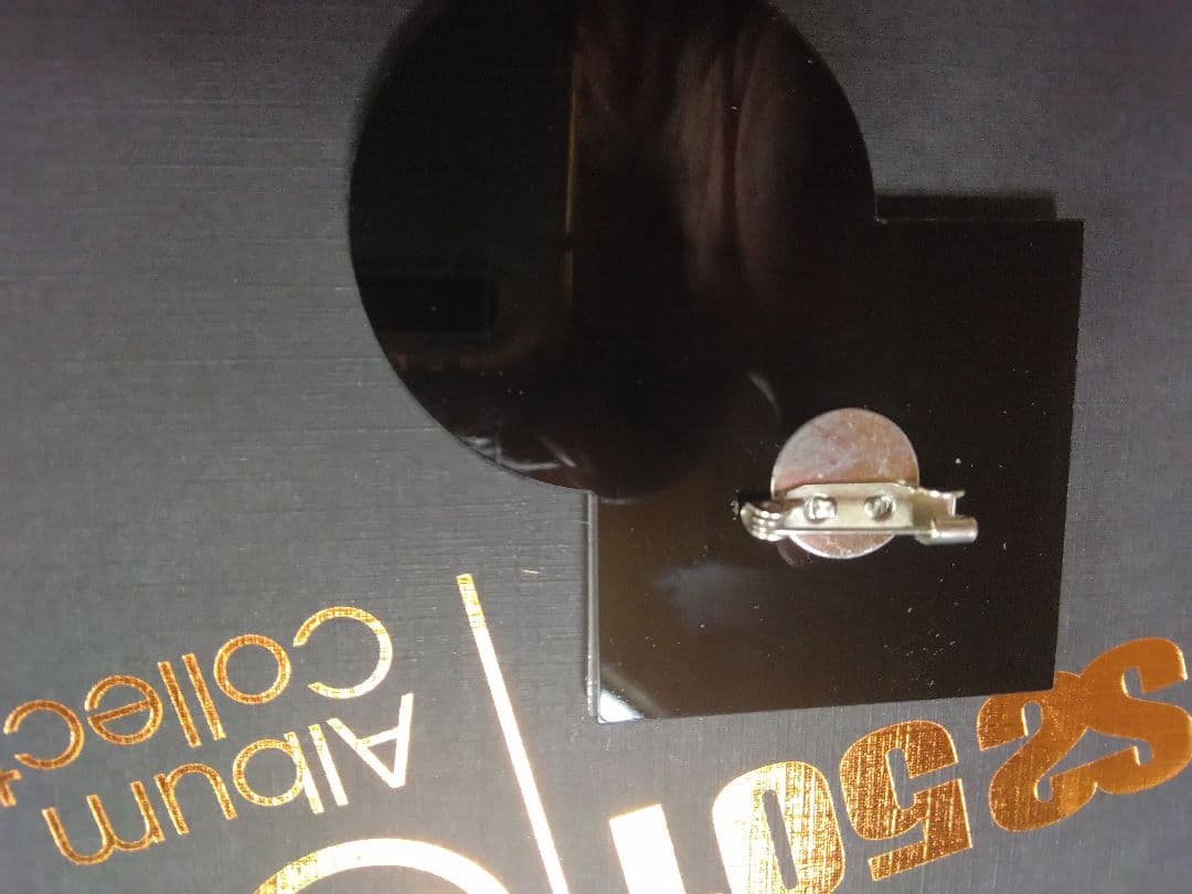 SS501 公式グッズ Album Collection ブローチセット