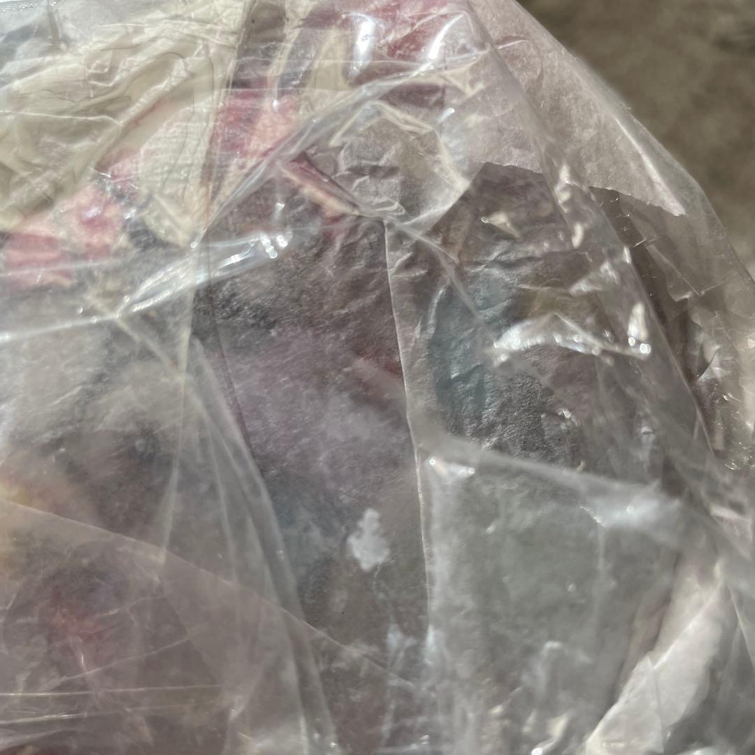 ユニクロ『ドラえもんUT』ぬいぐるみ