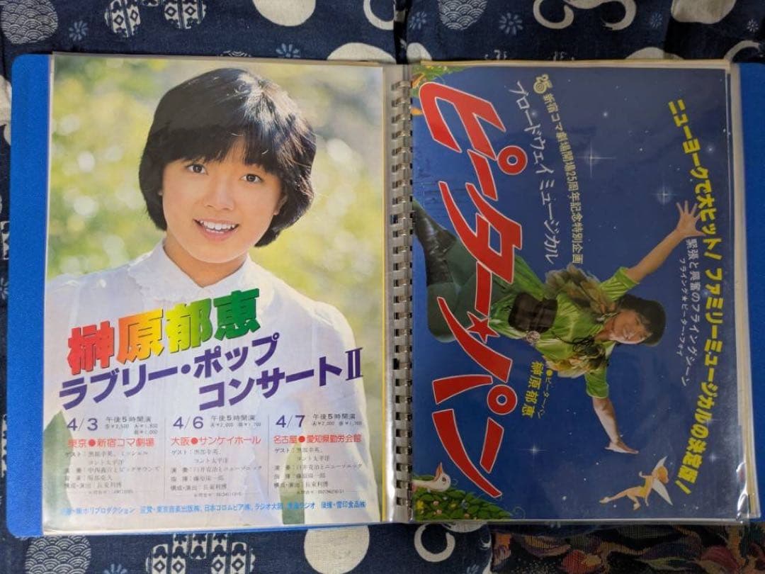 【貴重】榊原郁恵　パンフレット　グッズ　ブロマイド