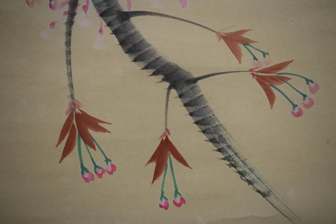 不詳/作者不詳/桜花雀図/布袋屋掛軸HK-12