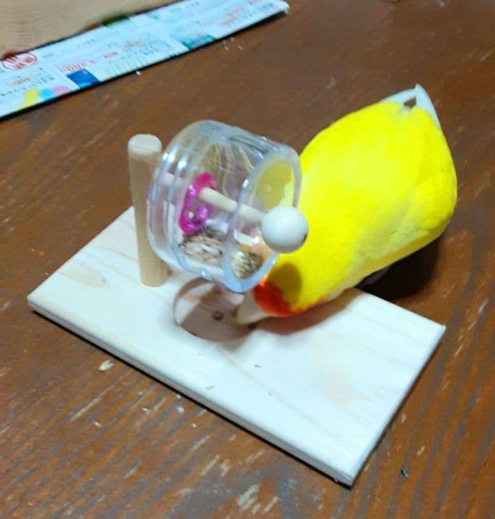 D33　⭐　ミラーボードとフォージングトイセット(大)⭐　インコ　バードトイ